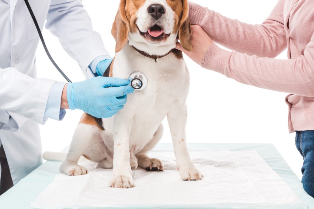 寵物看醫生包含診察費、健檢費、手術費等，飼主要先存錢之一。