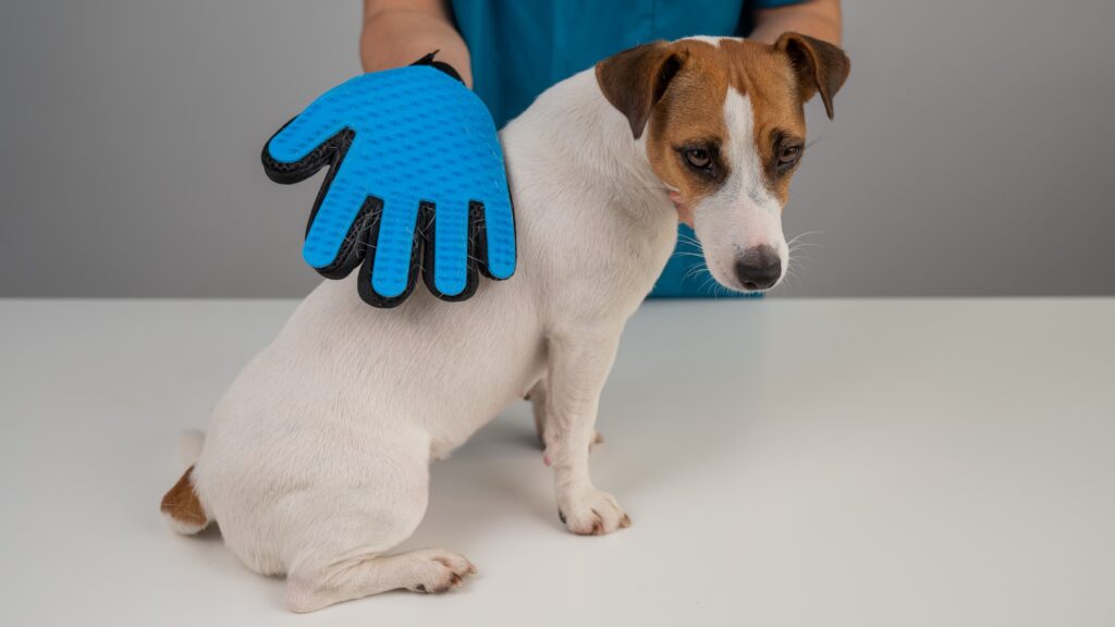 美容手套也是必備的寵物美容工具，可以同時發揮刷洗跟按摩的功用。
