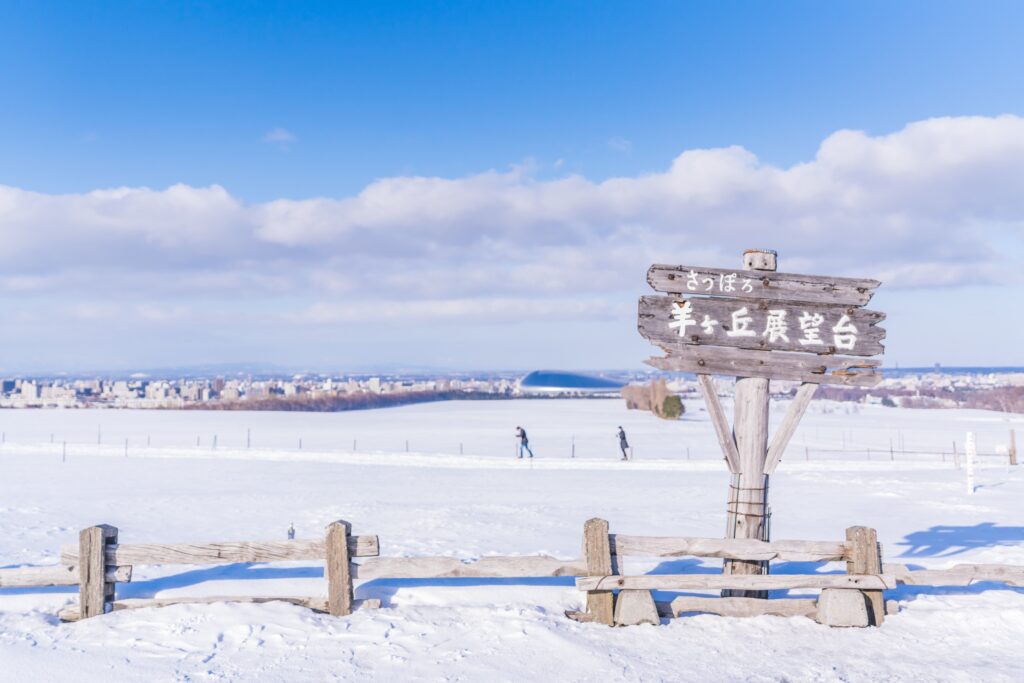 冬天到北海道，可以盡情滑雪。