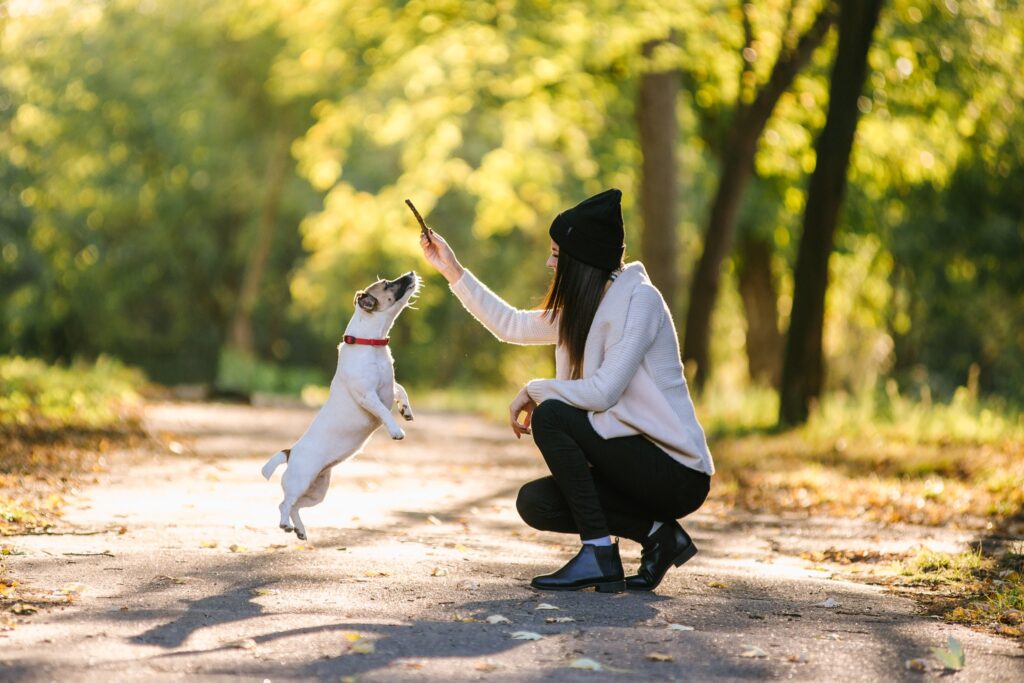 飼主可以在公園跟狗狗玩遊戲，培養感情。(圖/123RF圖庫)