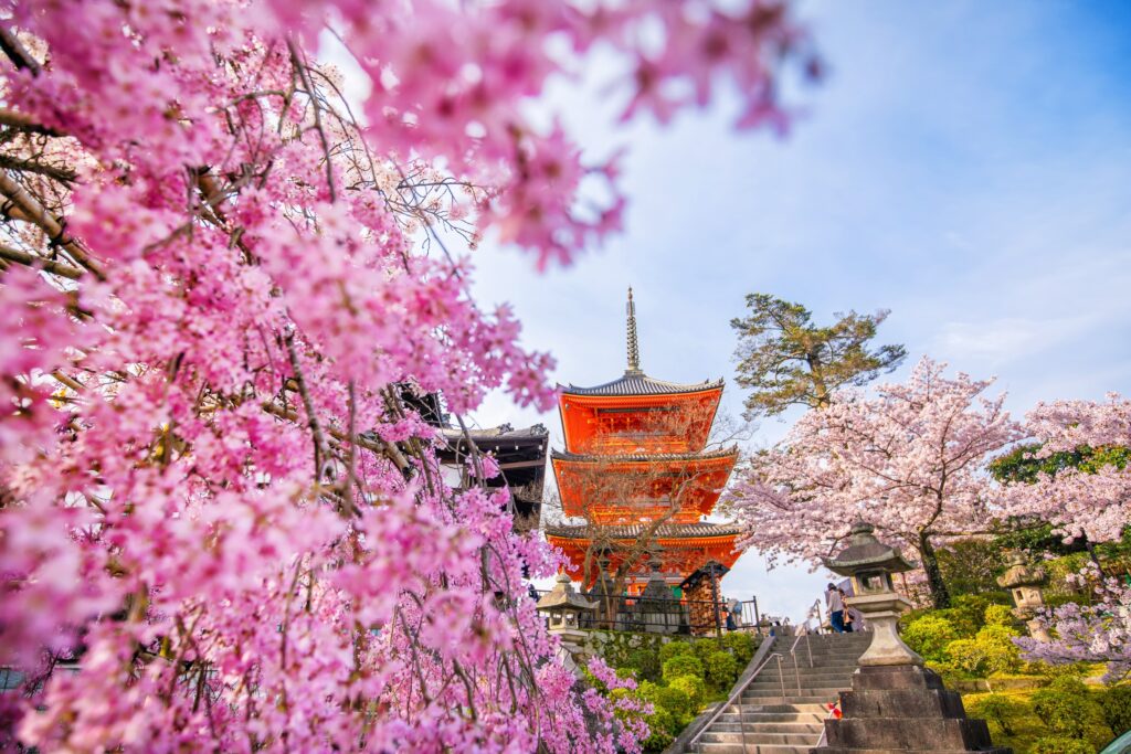 清水寺依山而建，從巨大的陽台上可以看到山坡和整個京都的壯麗景色。圖/123RF圖庫