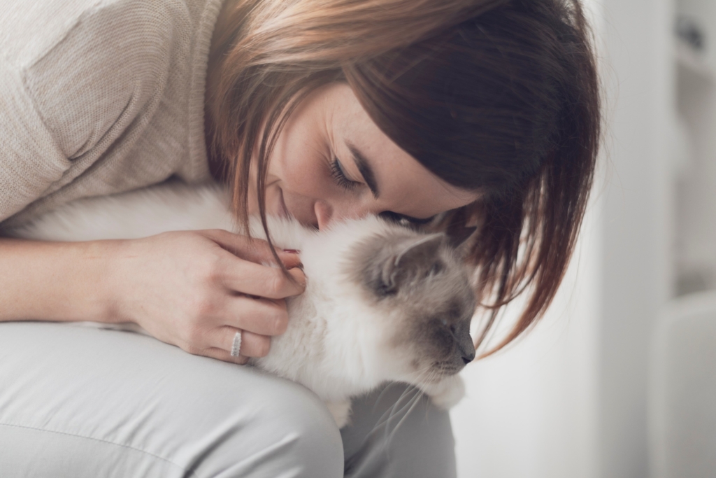 飼主每天抱抱貓咪，讓牠有安全感，牠也會跟妳互動、回應情感。圖/123RF圖庫