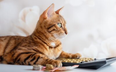 養貓花費多少？資深貓奴分享養貓基本支出和省錢方法！