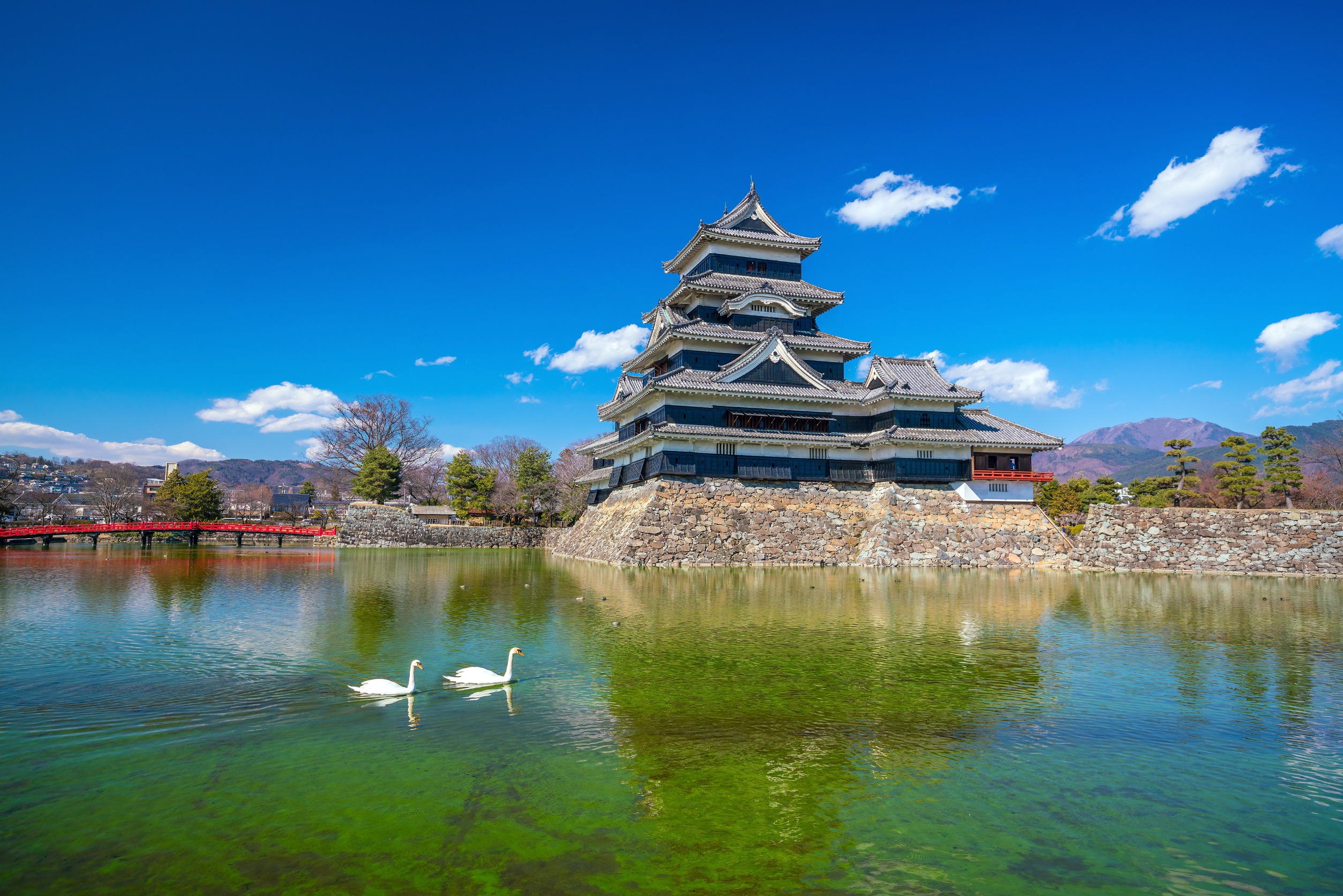 日本四國景點推薦！逛神社、古蹟、植物園，基本款行程一定要去！