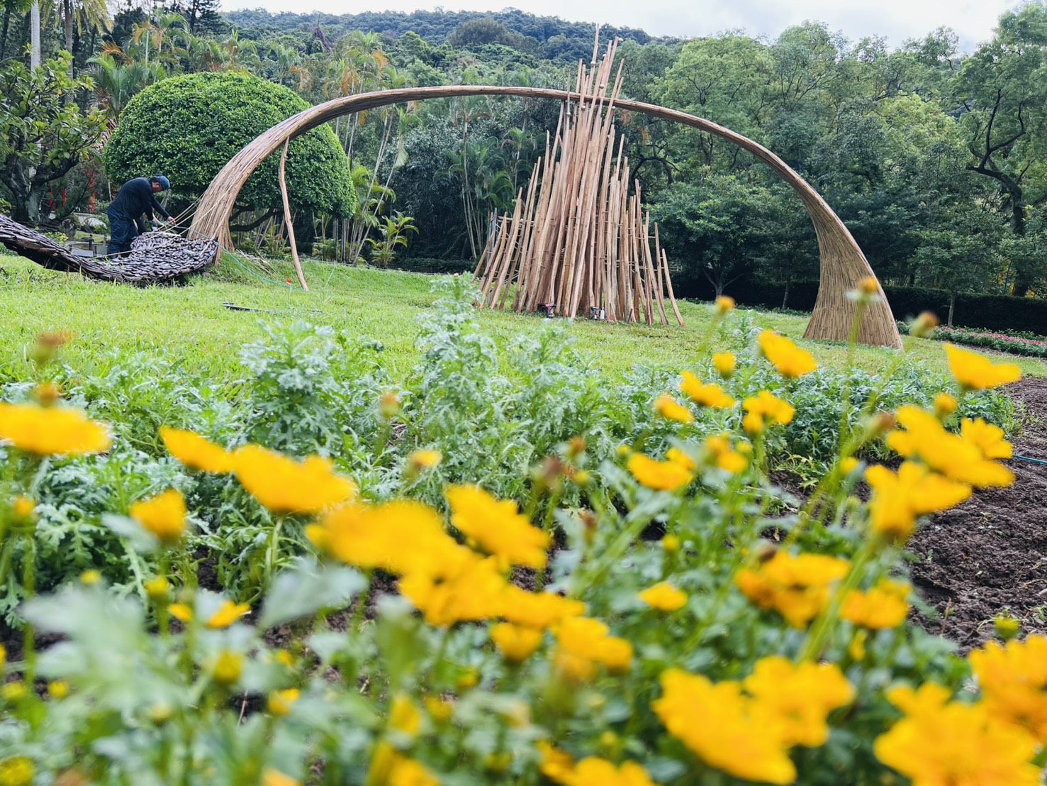 風起光湧裝置藝術  圖/台北市政府