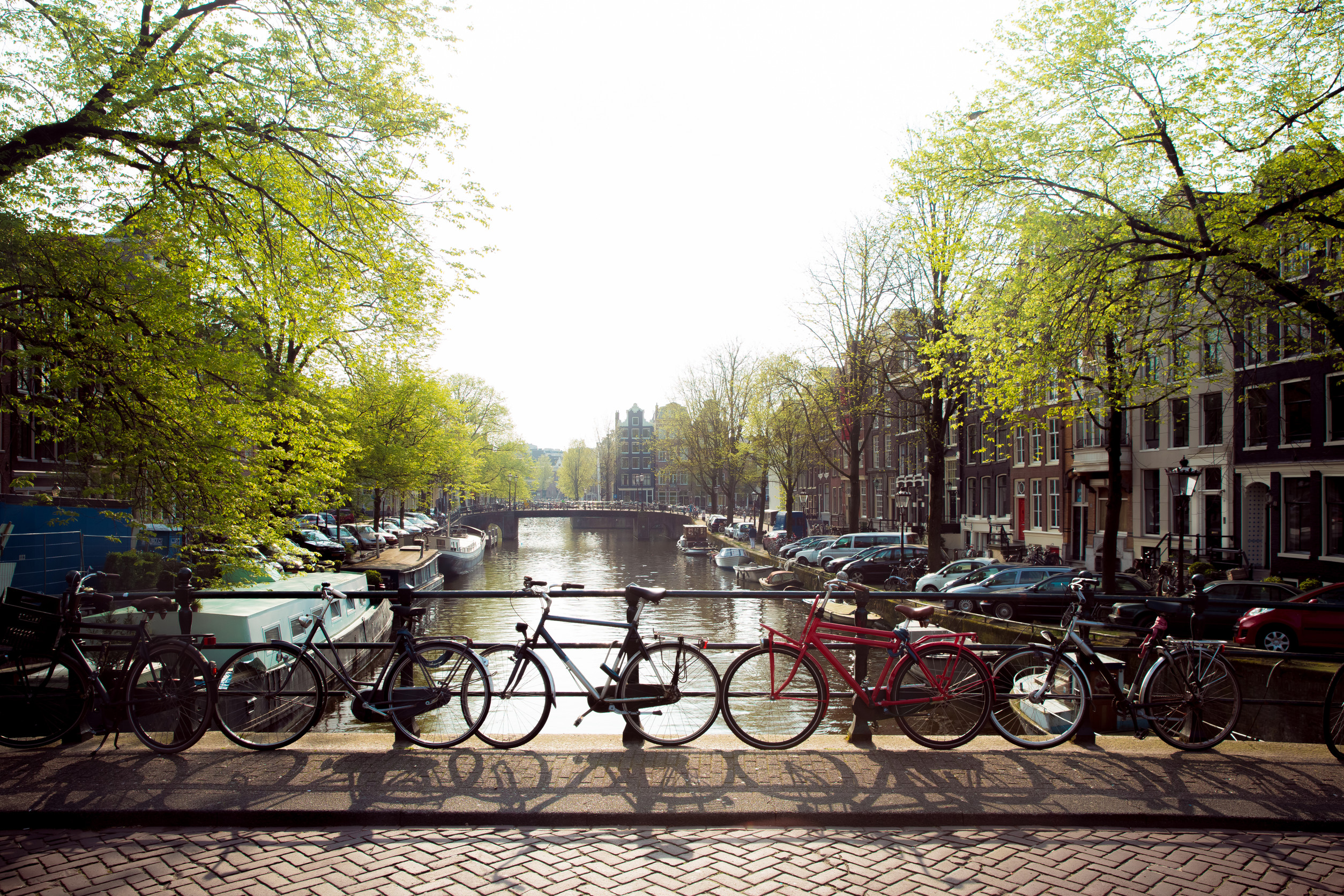 荷蘭阿姆斯特丹幾乎是「單車城市」的代名詞。騎車不是運動,是生活。圖/123RF圖庫