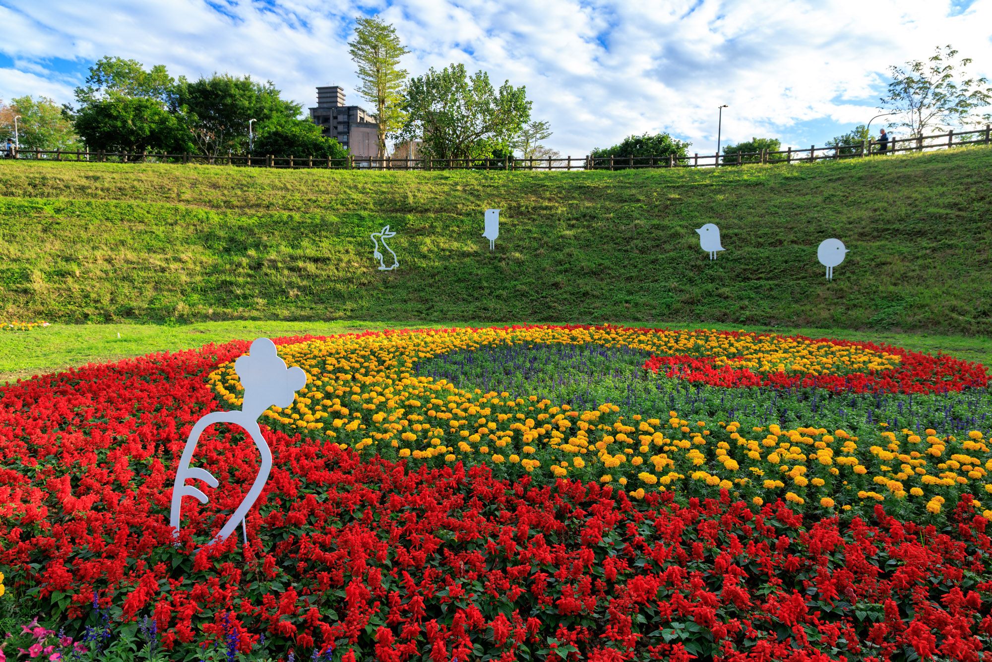 元旦不用跑遠！北市大溝溪花海爆美開拍中 隨手一拍就是桌布