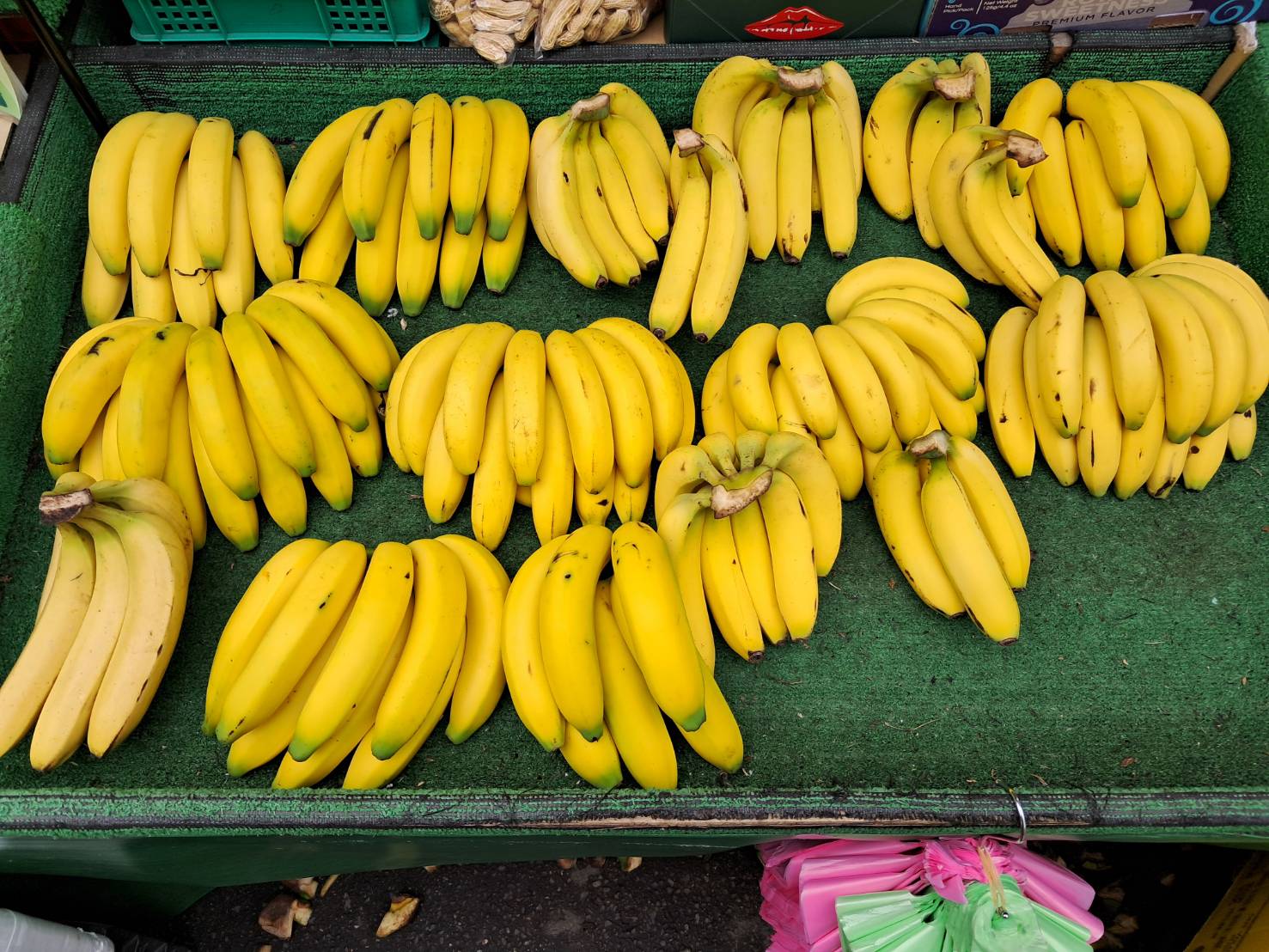 山蕉。圖/鄭欣宜拍攝