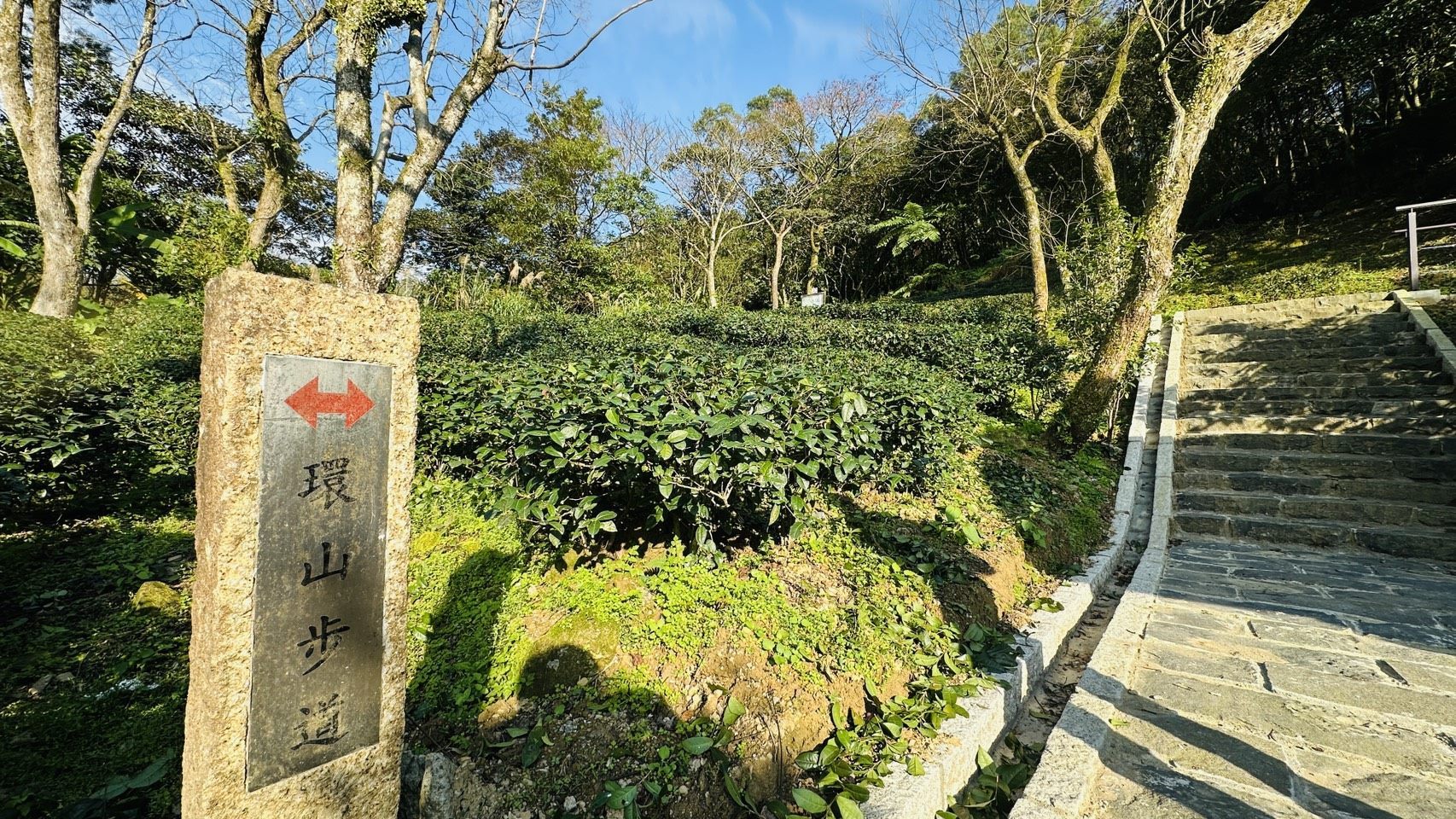 隱身南港的綠色秘境！漫遊茶山步道品味包種茶香 O²走讀之旅好清新