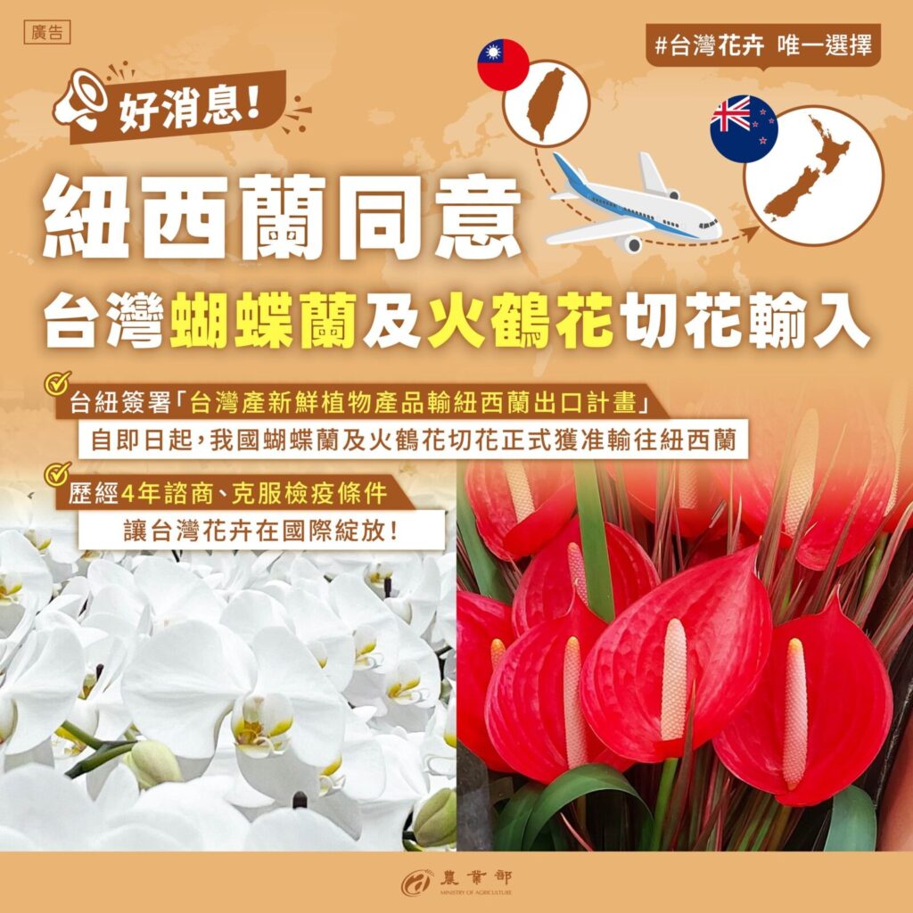歷經多年諮商談判，終於傳來佳音，蝴蝶蘭及火鶴花切花獲准輸入紐西蘭。圖/農業部提供