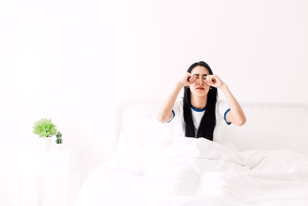 7種半夜狂嗨的萌寵 養之前沒做好功課真的會崩潰 7種半夜狂嗨的萌寵 養之前沒做好功課真的會崩潰