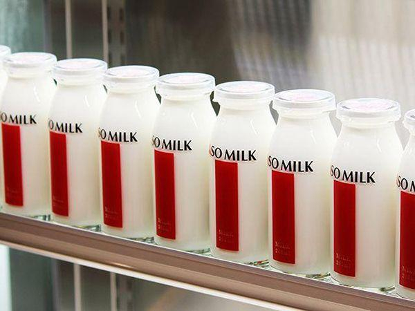 榮獲國際風味評鑑機構最高等級三星肯定的ASO MILK牛奶。圖/熊本縣観光連盟提供